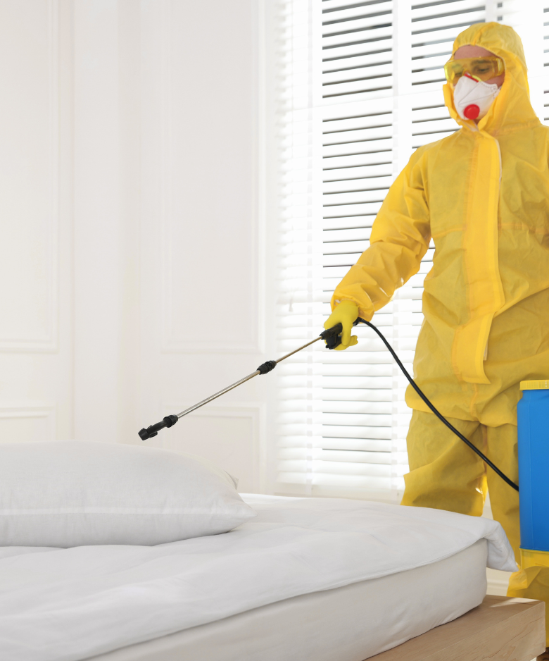 Professional Pest Control Team in Carey Gully